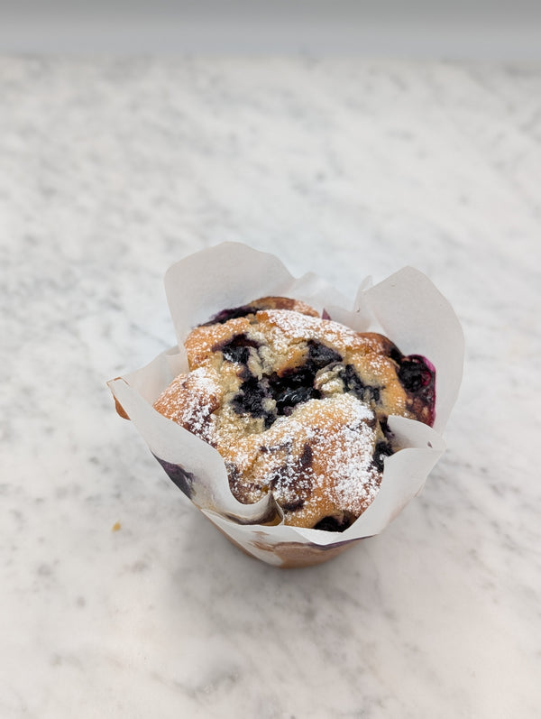 Blueberry Muffin